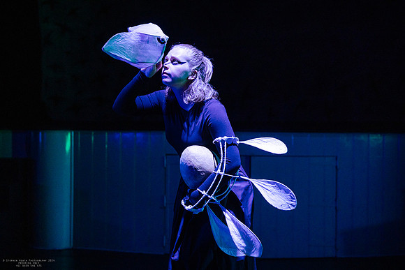 waapa 2411008 tmotlb 46-(PROOF ONLY)
