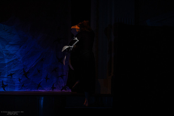 waapa 2411008 tmotlb 50-(PROOF ONLY)