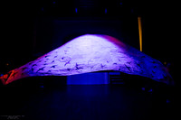 waapa 2411008 tmotlb 16-(PROOF ONLY)