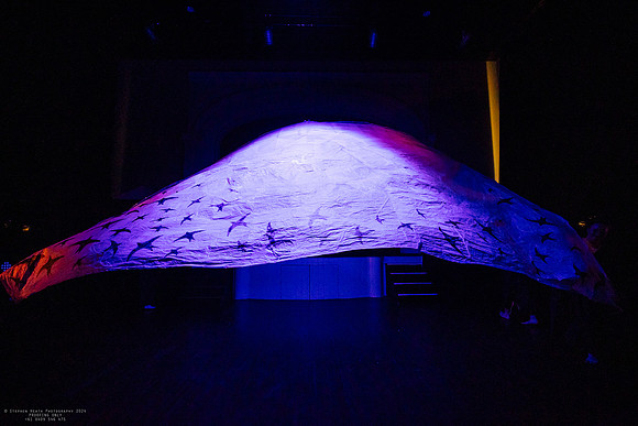 waapa 2411008 tmotlb 16-(PROOF ONLY)