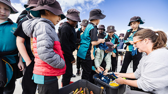 peet 250814 shorehaven tree planting 52-(WEB ONLY)