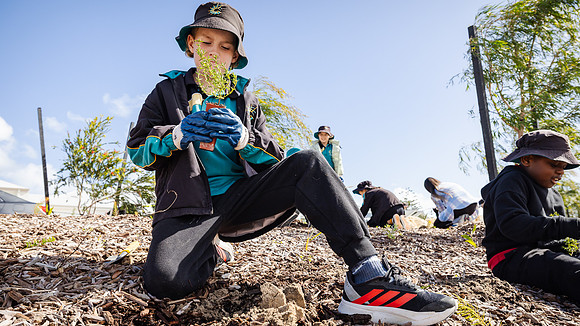 peet 250814 shorehaven tree planting 94-(WEB ONLY)