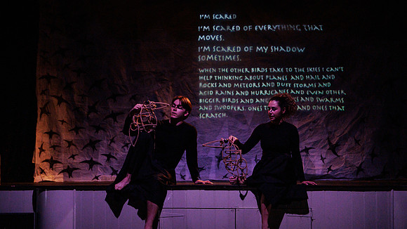 waapa 2411008 tmotlb 162-(WEB ONLY)