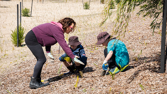 peet 250814 shorehaven tree planting 102-(PRINT ONLY)