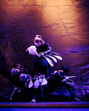 waapa 2411008 tmotlb 382-(PRINT ONLY)