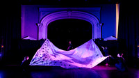 waapa 2411008 tmotlb 20-(WEB ONLY)