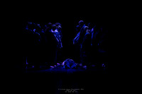 waapa 250512 rise-A FEW 2-(PROOF ONLY)