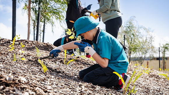 peet 250814 shorehaven tree planting 134-(WEB ONLY)