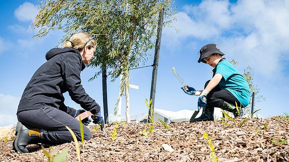peet 250814 shorehaven tree planting 132-(PRINT ONLY)