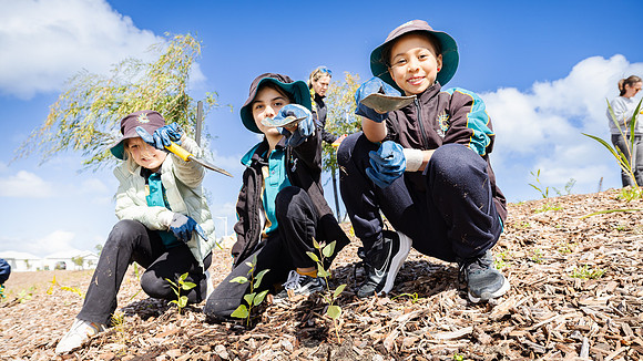 peet 250814 shorehaven tree planting 129-(WEB ONLY)