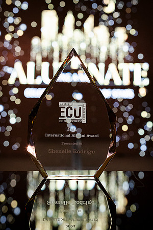 ecu 241106 aluminate 19-(PRINT ONLY)