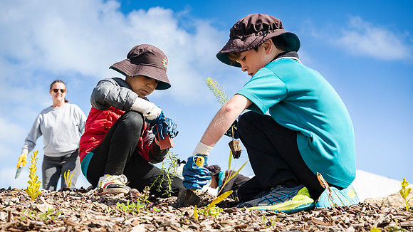 peet 250814 shorehaven tree planting 143-(PRINT ONLY)
