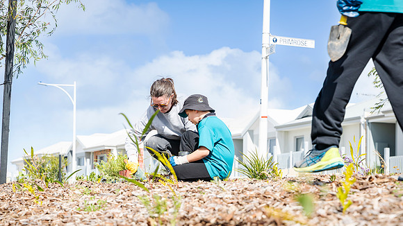 peet 250814 shorehaven tree planting 156-(PRINT ONLY)