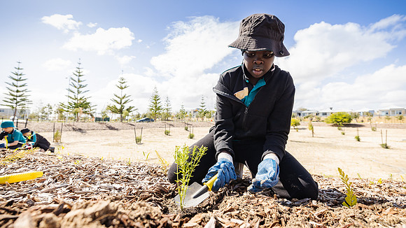 peet 250814 shorehaven tree planting 122-(WEB ONLY)