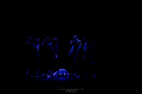 waapa 250512 rise-A FEW 15-(PROOF ONLY)
