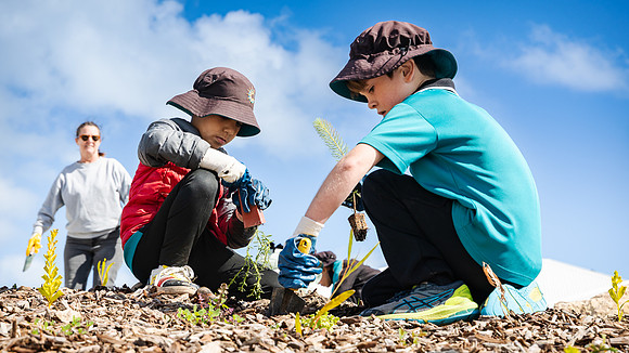 peet 250814 shorehaven tree planting 143-(WEB ONLY)