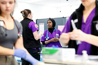 ecu 250813 midwifery 9-(PROOF ONLY)