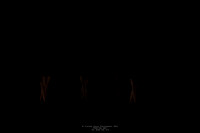 waapa 250512 rise-KAIROS 296-(PROOF ONLY)