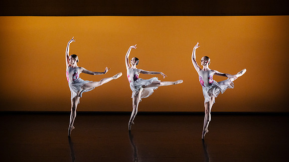 waapa 240605 rise s1 300-(PRINT ONLY)