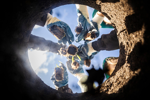 peet 250814 shorehaven tree planting 165-(PRINT ONLY)