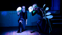 waapa 2411008 tmotlb 31-(WEB ONLY)