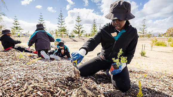 peet 250814 shorehaven tree planting 103-(PRINT ONLY)