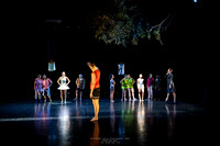 waapa 250512 rise-SILVERBACKING 23-(PROOF ONLY)