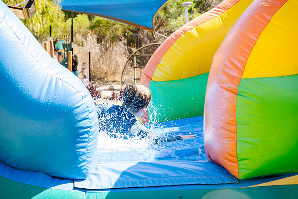 toc 250119 summer pool party 144-(WEB ONLY)