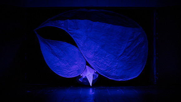 waapa 2411008 tmotlb 283-(PRINT ONLY)