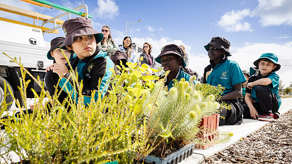 peet 250814 shorehaven tree planting 50-(WEB ONLY)