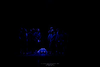 waapa 250512 rise-A FEW 16-(PROOF ONLY)
