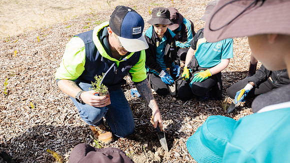 peet 250814 shorehaven tree planting 65-(WEB ONLY)