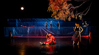 waapa 250512 rise-SILVERBACKING 4-(PROOF ONLY)