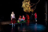 waapa 250512 rise-SILVERBACKING 19-(PROOF ONLY)