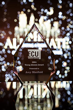 ecu 241106 aluminate 22-(PRINT ONLY)