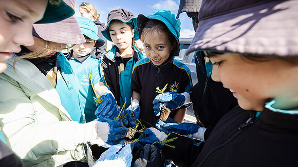 peet 250814 shorehaven tree planting 160-(PRINT ONLY)