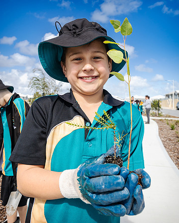 peet 250814 shorehaven tree planting 180-(WEB ONLY)