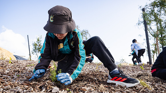 peet 250814 shorehaven tree planting 100-(WEB ONLY)