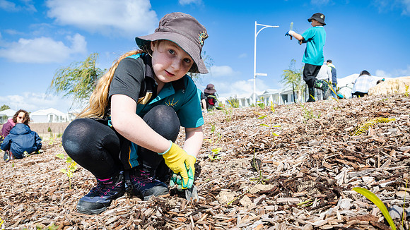 peet 250814 shorehaven tree planting 150-(PRINT ONLY)