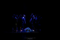 waapa 250512 rise-A FEW 9-(PROOF ONLY)