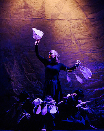 waapa 2411008 tmotlb 371-(PRINT ONLY)