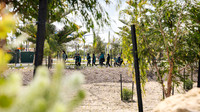 peet 250814 shorehaven tree planting 11-(WEB ONLY)