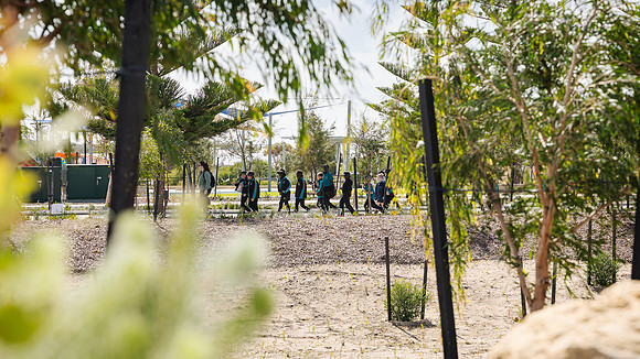 peet 250814 shorehaven tree planting 11-(WEB ONLY)