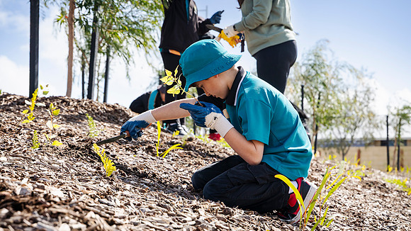 peet 250814 shorehaven tree planting 134-(PRINT ONLY)
