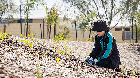 peet 250814 shorehaven tree planting 135-(WEB ONLY)