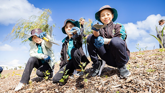 peet 250814 shorehaven tree planting 129-(PRINT ONLY)
