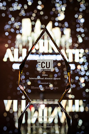 ecu 241106 aluminate 21-(PRINT ONLY)