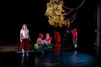 waapa 250512 rise-SILVERBACKING 16-(PROOF ONLY)