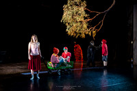 waapa 250512 rise-SILVERBACKING 15-(PROOF ONLY)
