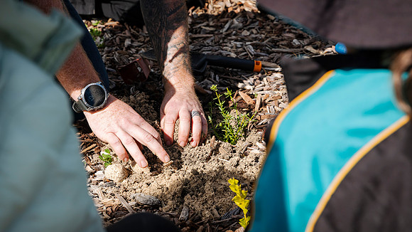 peet 250814 shorehaven tree planting 72-(PRINT ONLY)